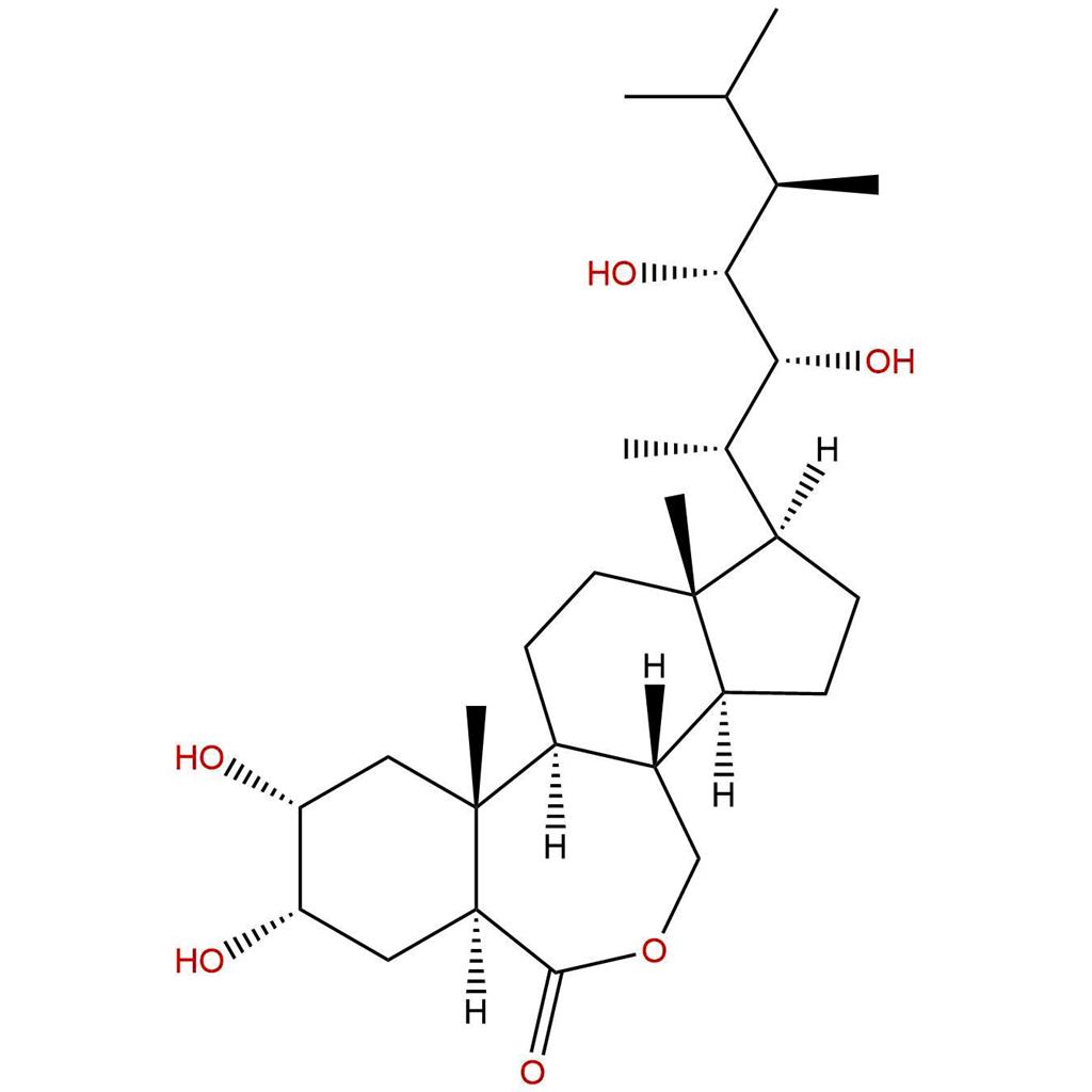 24-表芸苔素内酯,24-Epicastasterone