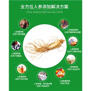 人参提取物,Panax Ginseng Extract Powder