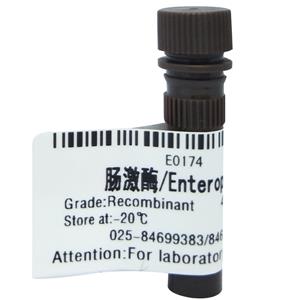 肠激酶,Enteropeptidase