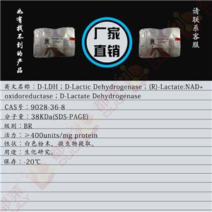 D-乳酸脱氢酶,D-LDH