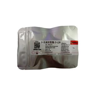 D-乳酸脱氢酶,D-LDH