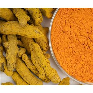 姜黄素,Curcumin