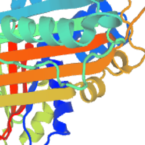 Vitamin A-OVA Conjugate，维生素A-鸡卵清白蛋白偶联物