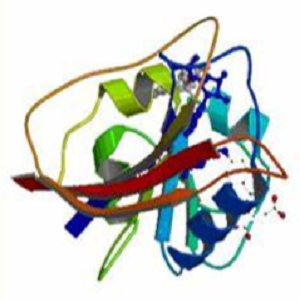 Cholecalciferol-BSA Conjugate，胆钙化醇-牛血清白蛋白偶联物