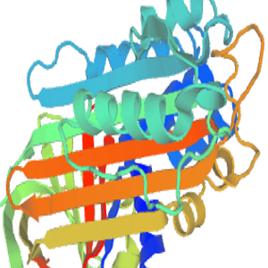 Huperzine-OVA Conjugate，石杉碱甲-鸡卵清白蛋白偶联物