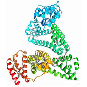 Polyphyllin-BSA Conjugate，重楼皂苷-牛血清白蛋白偶联物