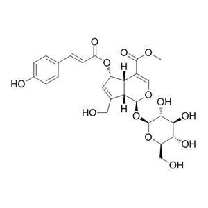 (E)-6-O-对香豆酰鸡屎藤次苷甲酯，(E)-6-O-(p-coumaroyl)scandoside methyl ester，83946-90-1