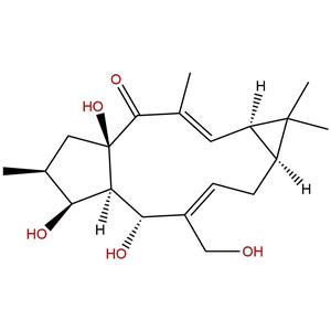 17-羟基异千金二萜醇，17-Hydroxyisolathyrol，93551-00-9