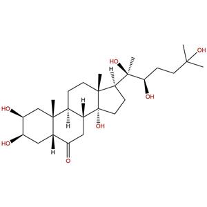 14-羟基芸苔素甾醇,14-hydroxylated brassinosteroid