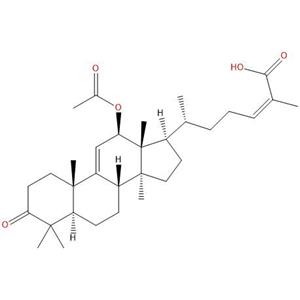 12β-乙酰氧基黑老虎酸，12β-acetoxycoccinic acid，125247-74-7