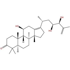 25-脱水泽泻醇A，Alisol G，155521-46-3