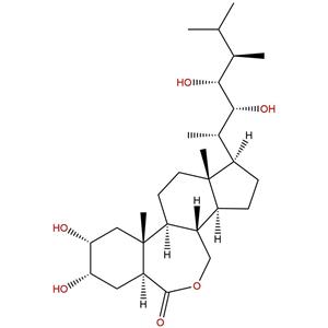 24-表芸苔素内酯，24-Epicastasterone，78821-43-9