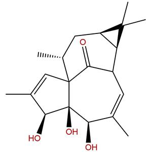 20-去氧巨大戟醇,20-Deoxyingenol