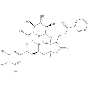 4-O-没食子酰白芍苷，4-O-Galloylalbiflorin，1201580-97-3