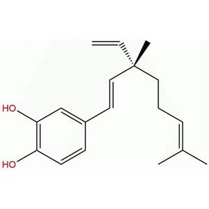 3-羟基补骨脂酚，3-Hydroxybakuchiol，178765-54-3