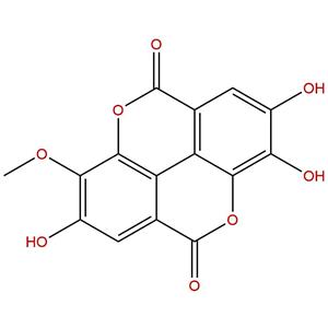3-甲基鞣花酸，3-O-Methylellagic acid，51768-38-8