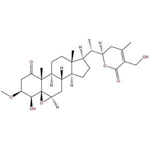 3β-甲氧基-2,3-二氢醉茄素A,3β-Methoxy-2,3-dihydrowithaferin A