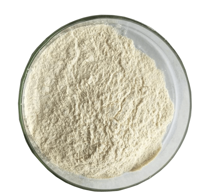 非洛地平,Felodipine