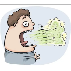 壬烯醛除味剂,Nonenal deodorant