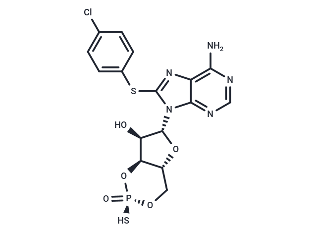 Rp-8-CPT-cAMPS,Rp-8-CPT-cAMPS