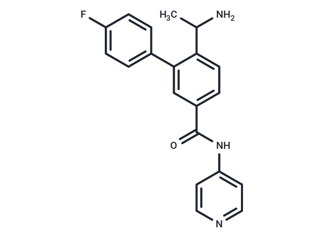 ROCK抑制剂1,ROCK-IN-1