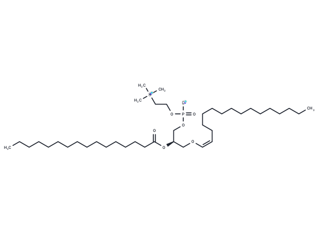化合物 1-1(Z)-Hexadecenyl-2-Palmitoyl-sn-glycero-3-PC,1-1(Z)-Hexadecenyl-2-Palmitoyl-sn-glycero-3-PC