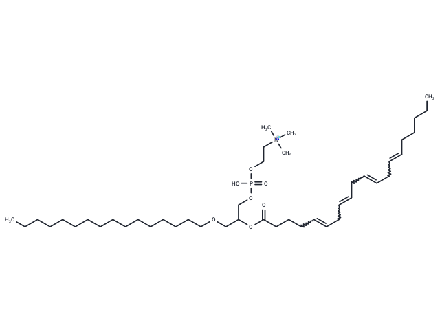 化合物 1-O-hexadecyl-2-Arachidonoyl-sn-glycero-3-PC,1-O-hexadecyl-2-Arachidonoyl-sn-glycero-3-PC