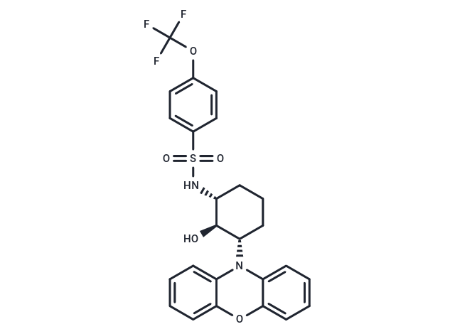 化合物 DT-061,DT-061