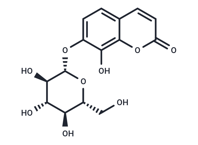 祖师麻乙素,Daphnin