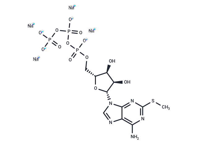 2-Methylthio-ATP 四钠盐,2-Methylthio-ATP tetrasodium