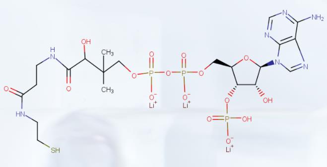 辅酶A三锂盐,COENZYMEA TRILITHIUM SALT