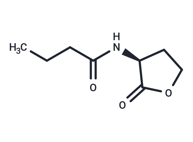 N-丁酰基-L-高丝氨酸内酯,N-Butanoyl-L-homoserine lactone