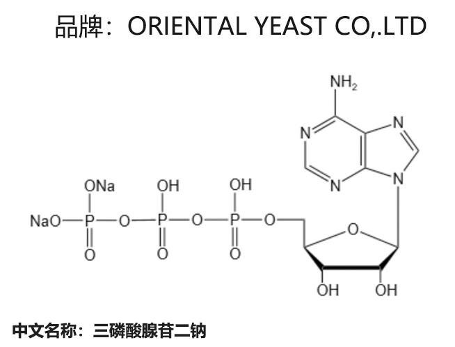 腺苷三磷酸,Adenosine triphosphate