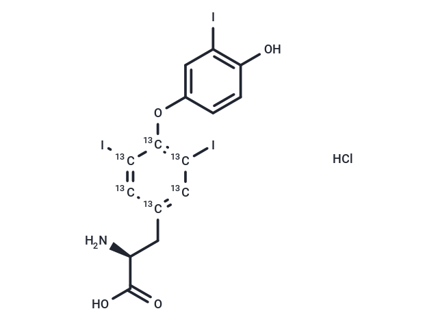 3,3′,5-三碘甲腺原氨酸-(酪氨酸苯基-13C6) 盐酸盐 （T3),Triiodothyronine-13C6 hydrochloridehydrochloride