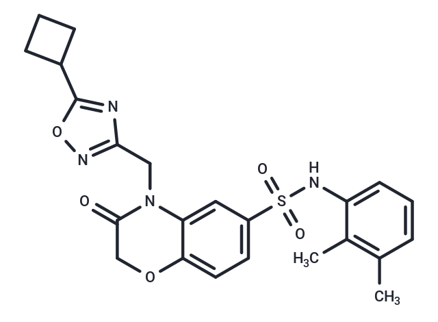 化合物 Beclin1-ATG14L interaction inhibitor 1,Beclin1-ATG14L interaction inhibitor 1