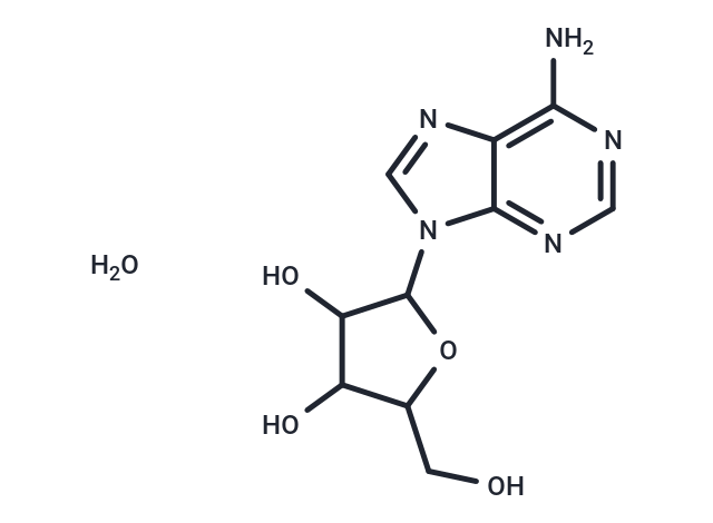 维达拉滨一水合物,Vidarabine monohydrate