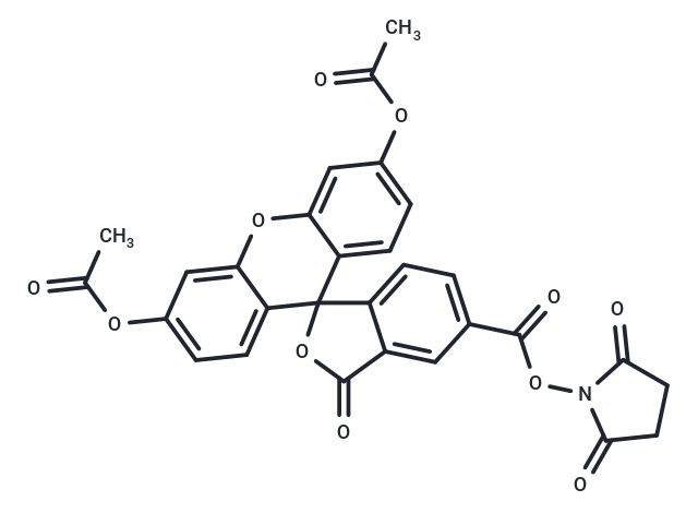 5-羧基二乙酰化荧光素活性酯,5-diacetate FAM NHS