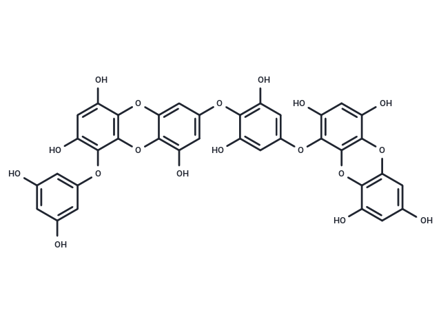 二鹅掌菜酚,Dieckol