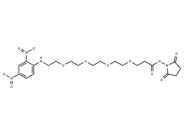 2,4-二硝基苯-四聚乙二醇-琥珀酰亚胺酯,DNP-PEG4-NHS ester