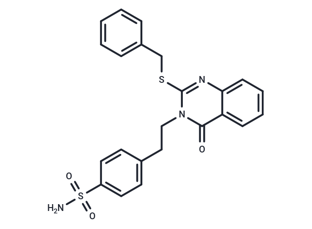 化合物 EGFR/HER2/CDK9-IN-1,EGFR/HER2/CDK9-IN-1