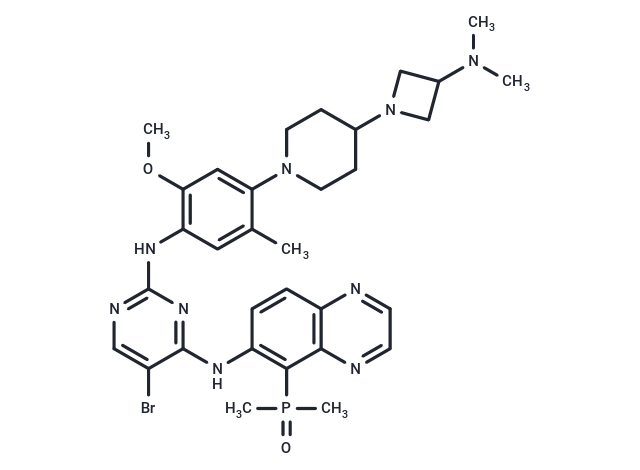 化合物 EGFR-IN-82,EGFR-IN-82