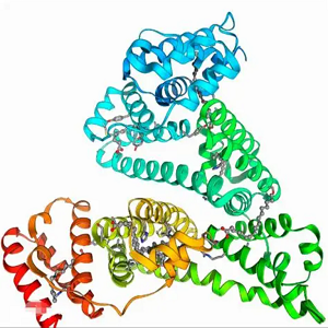 香草酸-牛血清白蛋白偶联物,Vanillic Acid-BSA Conjugate