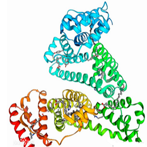 辣椒碱-鸡卵清白蛋白偶联物,Capsaicin-OVA Conjugate