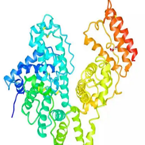 芦丁-牛血清白蛋白偶联物,Rutin-BSA Conjugate