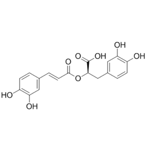 FITC-迷迭香酸/FITC-Rosmarinic acid/FITC-RA/Rosmarinic Acid-FITC conjugate/绿色荧光标记多酚抗氧化探针