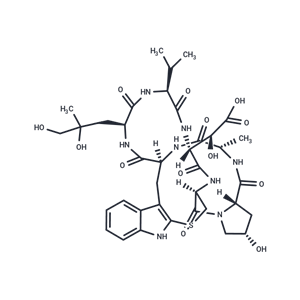 羧基二羟鬼笔毒肽,Phallacidin