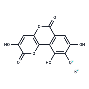 化合物 Galloflavin Potassium,Galloflavin Potassium