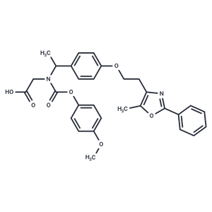培利格列扎外消旋体,Peliglitazar racemate