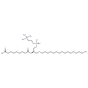 Azelaoyl PAF|T36180|TargetMol