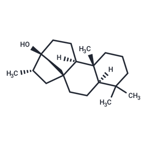 化合物 13-Hydroxystevane,13-Hydroxystevane